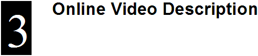 Section 3: Online Video Description Title